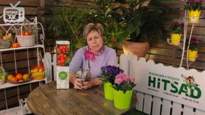 Боярышник ✅ Посадка и уход ✅ Как вырастить в саду?