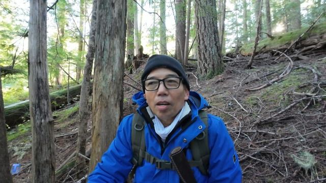 MATSUTAKE Mushrooms Hunting Trip in WA смотреть онлайн