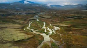 Великаны планеты 10 серия «Полярный медведь» (документальный сериал, 2023)