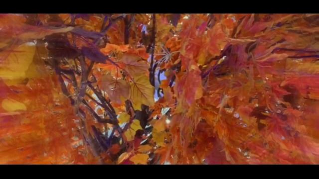 Video Bokeh Full Light Mall Jakarta смотреть онлайн