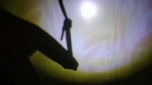 Шоу теней "Казнь"