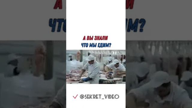 31 марта 2021 г. смотреть онлайн