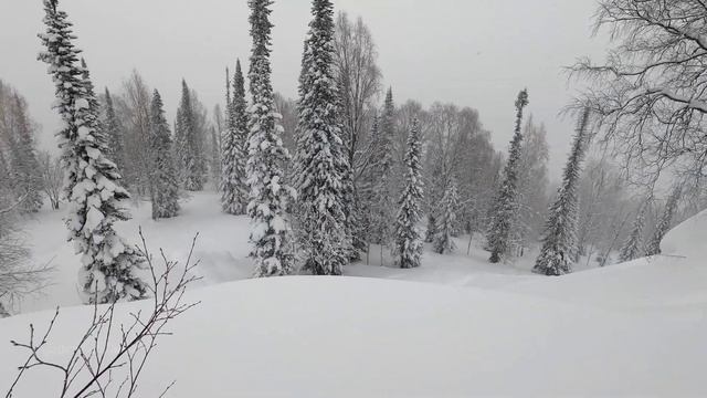 Солнечный фрирайд. Сноубординг и сплитбординг в Сибири. Эпизод 17 