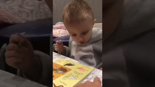 Дерево с колючками смотреть онлайн
