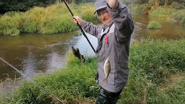 Рыбалка на лесной реке смотреть онлайн