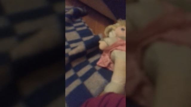 дрисерлвка чихуахуа 2 месяца команда сидеть смотреть онлайн