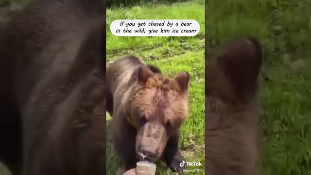 Instructions unclear I’m getting eaten alive смотреть онлайн