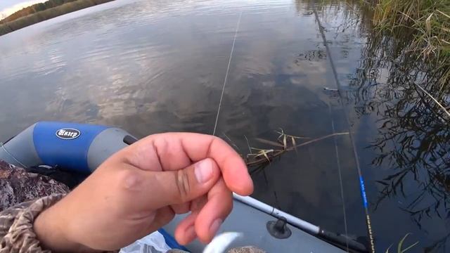 НЕ УСПЕВАЕШЬ ЗАКИДЫВАТЬ УЖЕ КЛЮЁТ! Мормышинг на малой реке в октябре. Рыбалка смотреть онлайн