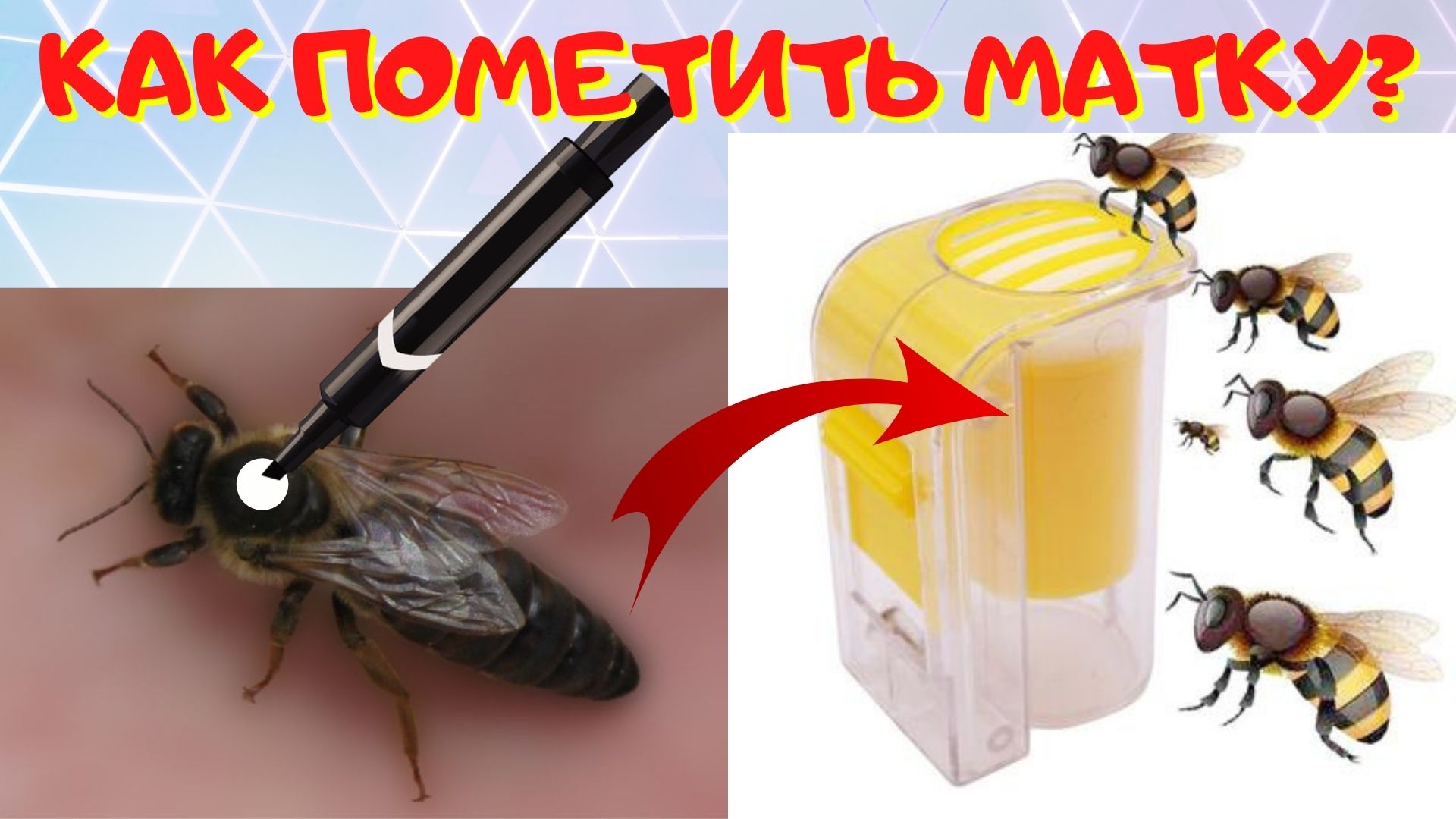 Мечу матку. - Как пометить матку.