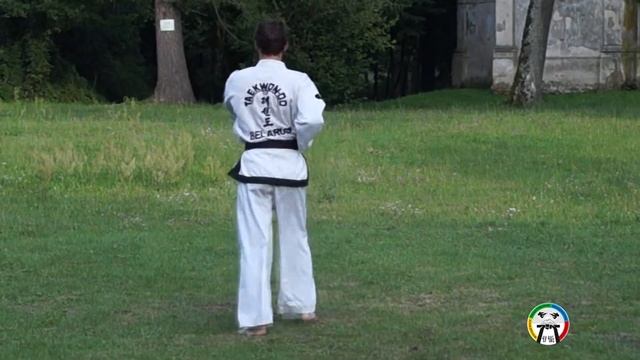 Обучение Хва-Ранг туля(вид сзади), Taekwondo Hwa-Rang (back) смотреть онлайн