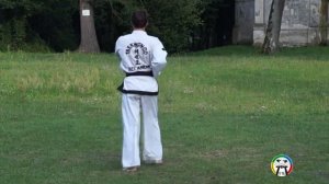 Обучение Хва-Ранг туля(вид сзади), Taekwondo Hwa-Rang (back)