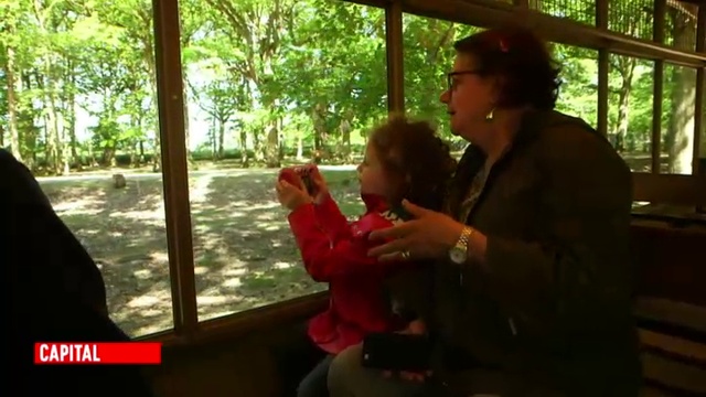 Capital - Zoos, Parcs D'attractions : Grands Spectacles Et Grosses Depenses ! 1-2 Cptl