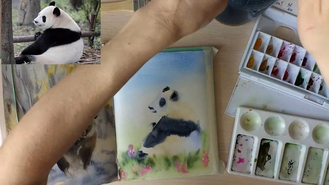 Как нарисовать медведя. Панда. Speed painting смотреть онлайн