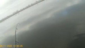 Багрение леща . 2020