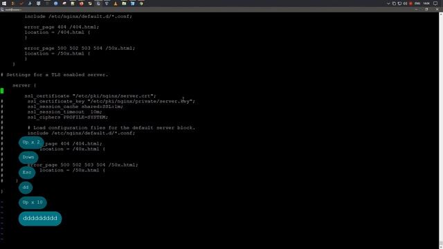 Установка Nginx [ Engine X ] | SSL/TLS | Self-Signed SSL | Fedora Server 34 смотреть онлайн