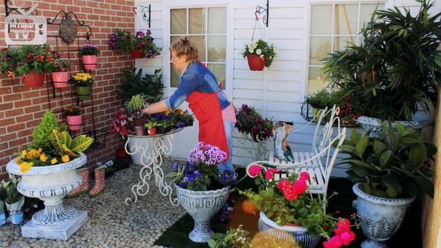 Садовый центр ? Цветочные композиции в вазоне ➡ мастер-класс hitsad.ru смотреть онлайн