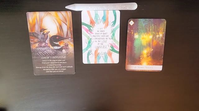 ♋ Cancer~Is It Time To Change Course? Leo Full Moon - Feb 23rd. Tarot Reading. смотреть онлайн