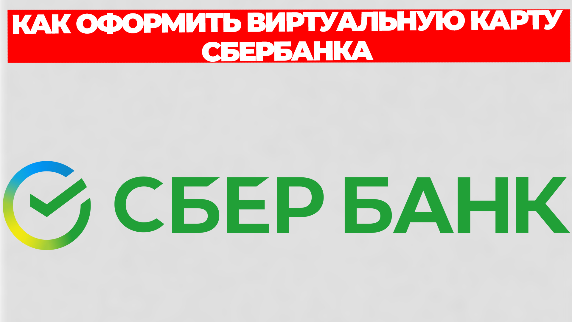 Всезнающий Енот