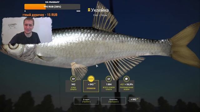 Трофейная уклейка на реке Белая. Троф уклейки в РР4. Русская Рыбалка 4. Река Белая. Рыбалка онлайн. смотреть онлайн