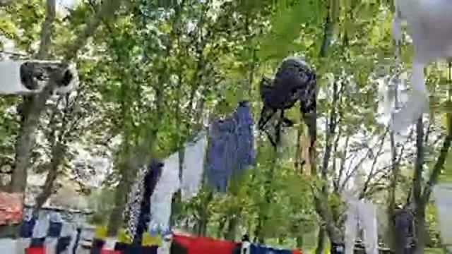 Блюдо Дня У ЛИПОВАНА смотреть онлайн