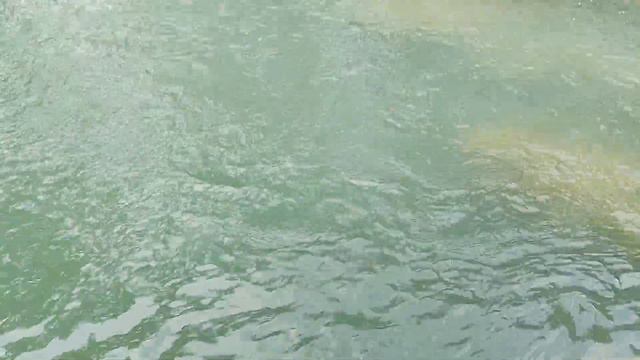 Горная речка. Геленджикский район. 2022. смотреть онлайн