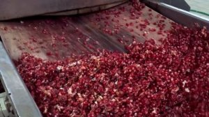 Производство гранатового сока