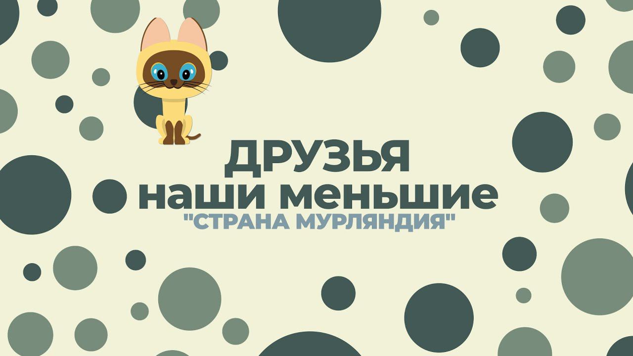 "Страна Мурляндия" из цикла встреч "Друзья наши меньшие" смотреть онлайн