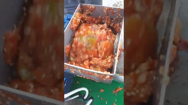 Соковыжималка сш2 смотреть онлайн
