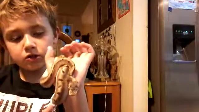 ERIK'S NEW SPIDER BALL PYTHON смотреть онлайн