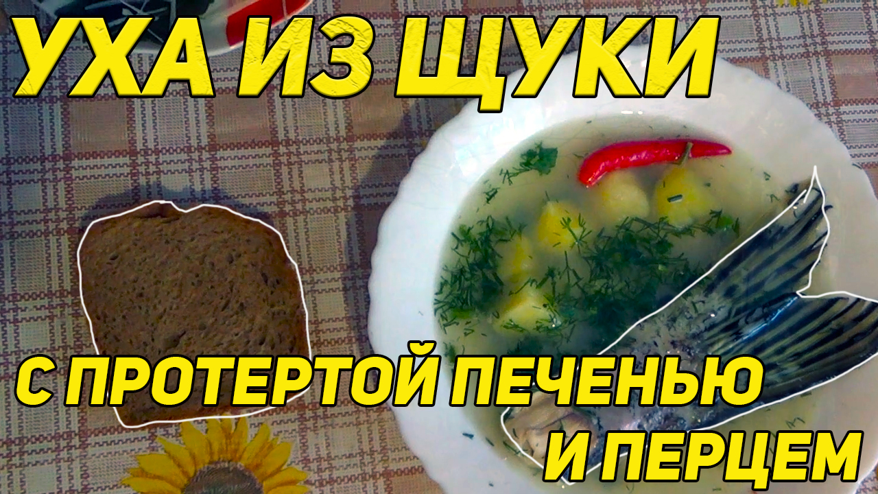 ✔️ Уха из щуки с протертой печенью, жиром и перцем. смотреть онлайн