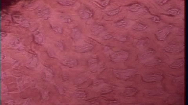 Сюжет о компании 