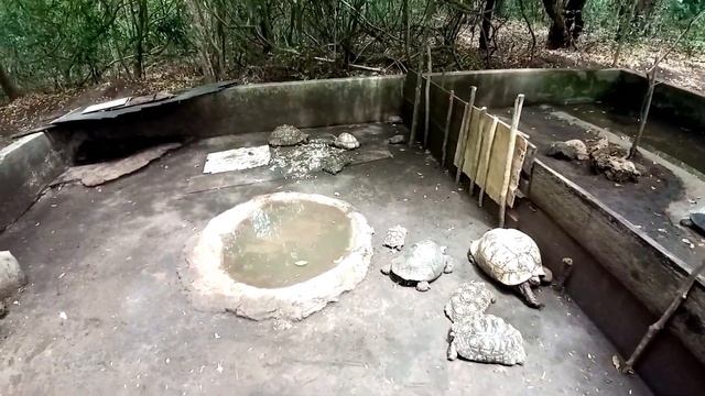 ACTIVITIES OR THINGS TO DO IN WATAMU AND MALINDI смотреть онлайн