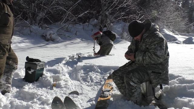 подледная рыбалка на хариуса и Ленка/ неплохой улов и отличный отдых! смотреть онлайн