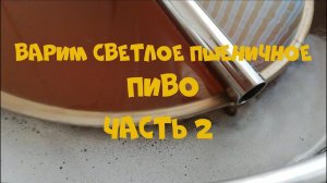 Варим светлое пшеничное пиво, на пивоварне Bavaria автоматическая 50 л Часть 2
