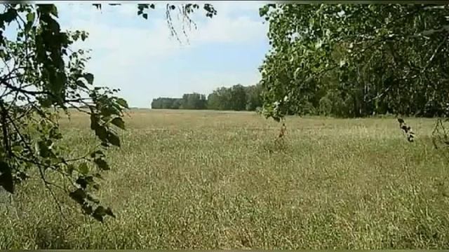 СЕМЬЯ АДАМЯН СУВОРОВКА НЕ ПОСЛЕДНЕЕ ПРИСТАНИЩЕ ИЛИ ЭГОИСТИЧЕСКИЙ МАРАЗМ КРЕПЧАЛ))) смотреть онлайн