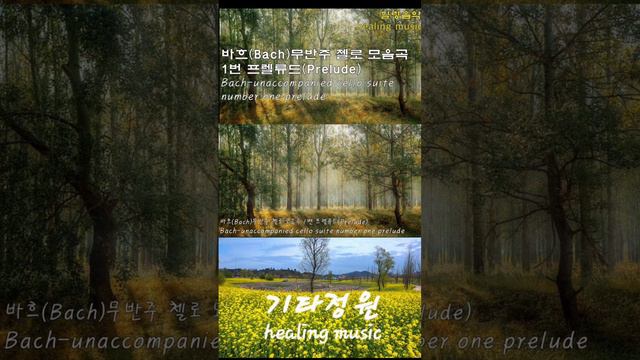 바흐-무반주 첼로 모음곡 1번 중 프렐류드(Prelude) Bach- cello suite number one 힐링음악 смотреть онлайн