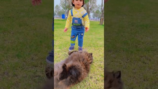 Cute baby🥰-#mama @FatimaMom07 #viral #shortsvideo смотреть онлайн