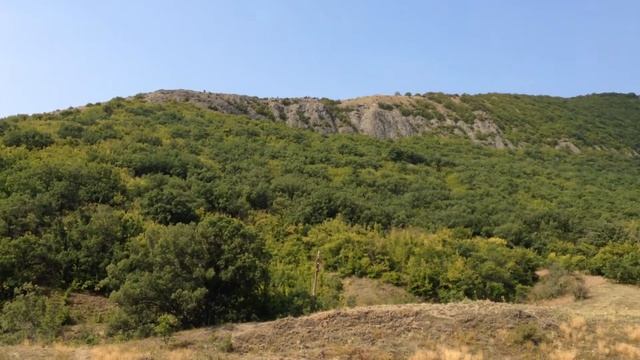 Учебник по Рукоделию