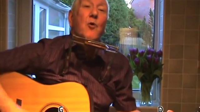 The Irish Rover (Shane MacGowan/Pogues cover) GUITAR LESSON play-along chords and lyrics (key G) смотреть онлайн