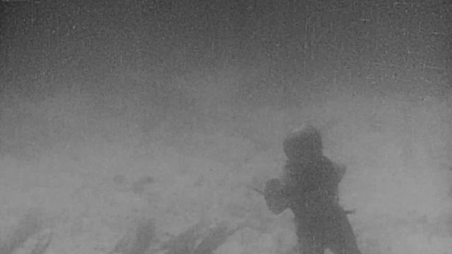 20 000 LEAGUES UNDER THE SEA 1916 HD смотреть онлайн