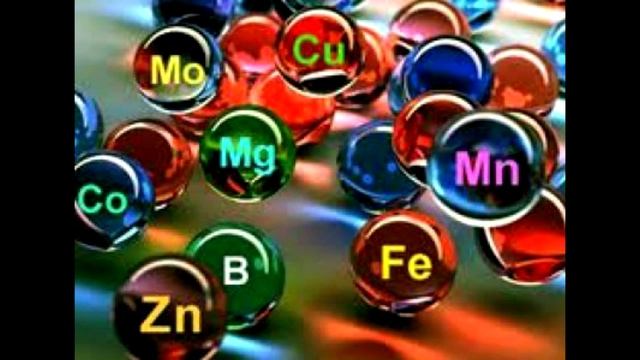 Марганец Влияние на организм смотреть онлайн
