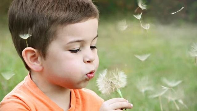 Медитация "исцеление в утробе матери" смотреть онлайн