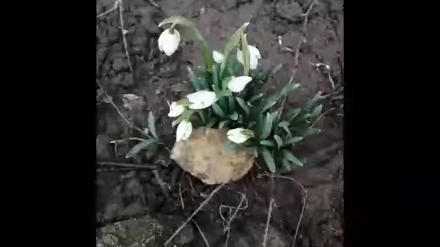 Депрессия тройничный нерв радиожурнал пчела 15 профессор неожиданное решение