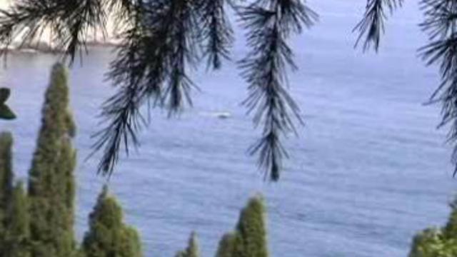 Видео об отдыхе в Крыму на сайте   Донецкие зажигают!