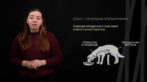 Учение И.П. Павлова о пищеварении | Биология