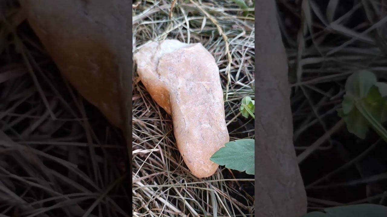 Нашли стопу ГНОМА!!! Чудо камешек!