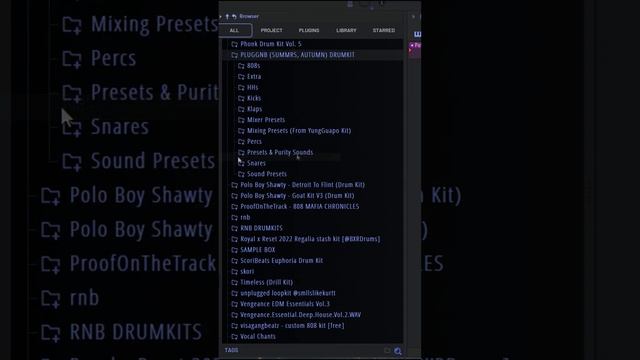 КАК СДЕЛАТЬ АВТОЗАКРЫТИЕ БРАУЗЕРА В Fl Studio 21 #shorts смотреть онлайн