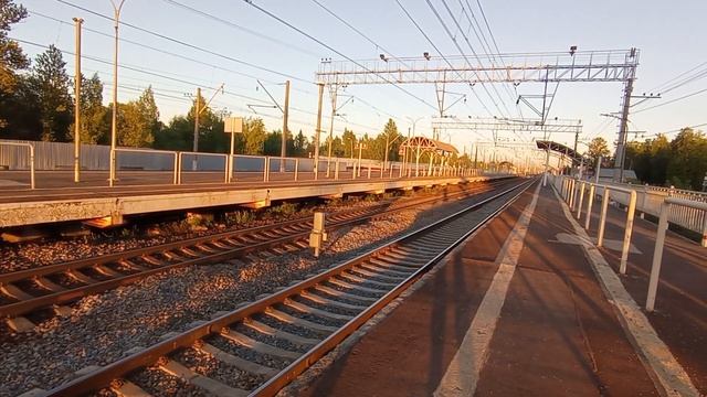 объявление сапсана и его пролет на скорости 192км\ч - сапсан летит миом станции славянка #fypシ смотреть онлайн