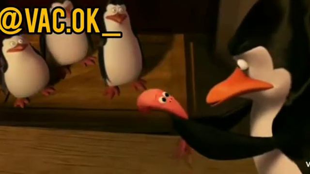 Пингвины Мадагаскар смотреть онлайн