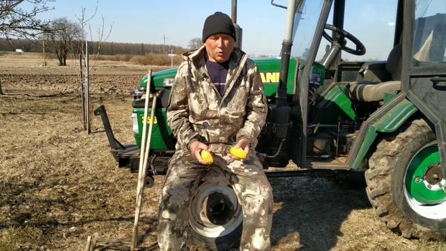 Кукуруза ?-как хорошее подспорье в хозяйстве. смотреть онлайн